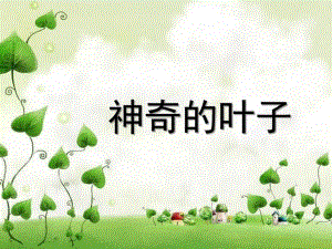 中班科学《神奇的叶子》PPT课件教案视频微课件.pptx
