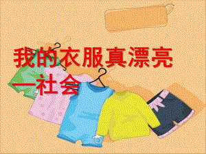 中班社会《我的衣服真漂亮》PPT课件教案中班社会《我的衣服真漂亮》.pptx