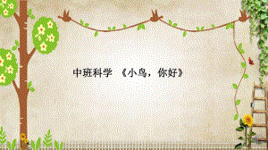 中班科学《小鸟你好》2套公开课视频+PPT课件+教案和反思+小视频中班科学《小鸟你好》课件.pptx