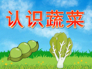 中班科学活动《认识蔬菜》PPT课件教案PPT课件.pptx