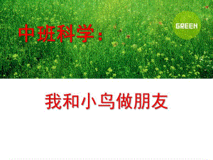 中班科学《我和小鸟做朋友》PPT课件教案中班科学《我和小鸟做朋友》.pptx