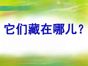 中班科学《它们藏在哪儿》PPT课件教案科常：它们藏在哪儿？(昆虫.pptx
