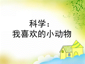 中班科学《我喜欢的小动物》PPT课件教案中班科学-我喜欢的小动物.pptx