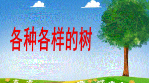 中班科学《认识树》PPT课件幼儿园：认识树.pptx