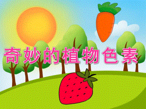 中班科学《奇妙的植物色素》PPT课件教案视频PPT课件.pptx