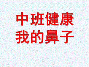 中班健康《我的鼻子》PPT课件中班健康我的鼻子.pptx
