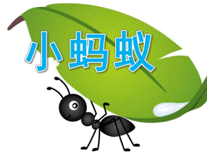 中班美术《小蚂蚁》PPT课件教案PPT课件.pptx