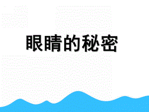 中班健康《眼睛的秘密》PPT课件教案眼睛的秘密.pptx