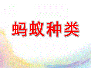 中班科学《蚂蚁种类》PPT课件教案中班蚂蚁种类.pptx