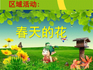 中班区域活动《春天的花》PPT课件中班区域《春天的花》.pptx
