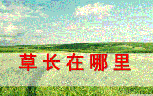 中班科学《草长在哪里》PPT课件教案草长在哪里.pptx