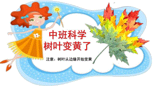 中班科学《树叶变黄了》PPT课件教案幼儿园科学：树叶变黄了.pptx