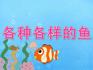 中班综合活动《各种各样的鱼》PPT课件教案PPT课件.pptx