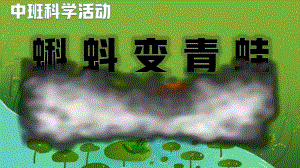 中班科学活动《蝌蚪变青蛙》动态PPT课件+教案+音乐+小视频中班科学《蝌蚪变青蛙》课件.pptx