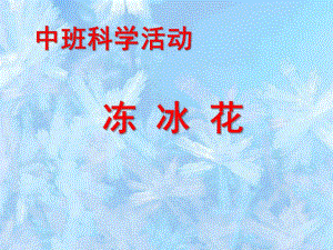 中班科学《冻冰花》PPT课件教案微课件.pptx