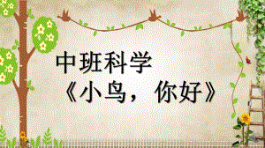 中班科学《小鸟你好》PPT课件教案中班科学《小鸟你好》课件.pptx