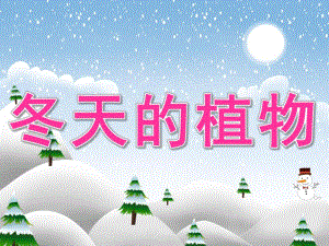 中班科学《冬天的植物》PPT课件教案PPT课件.pptx