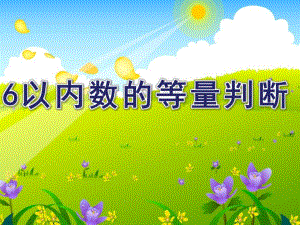 中班数学活动《6以内数的等量判断》PPT课件6的守恒.pptx