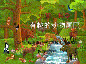中班科学《有趣的动物尾巴》中班科学《有趣的动物尾巴》微课件.pptx