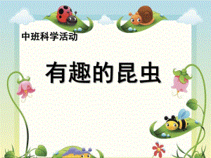 中班科学课件《有趣的昆虫》PPT课件教案中班科学《有趣的昆虫》课件.pptx