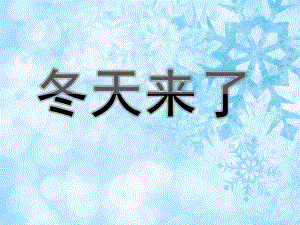 中班社会《冬天来了》PPT课件教案冬天来了.pptx