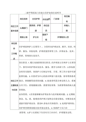 二级甲等医院门诊部主任护师岗位说明书.docx