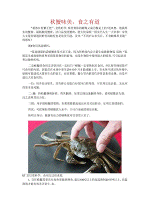 秋蟹味美食之有道.docx