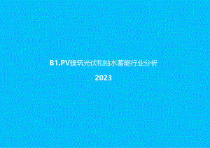 2024BIPV建筑光伏和抽水蓄能行业分析.docx