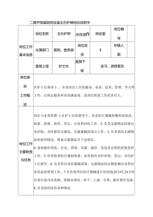 二级甲等医院供应室主办护师岗位说明书.docx