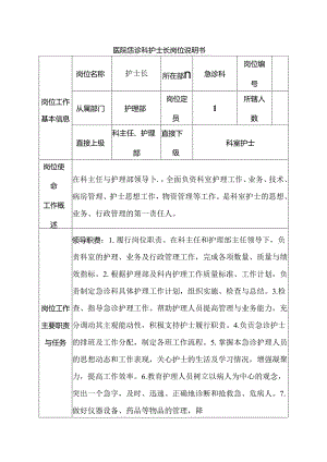 医院急诊科护士长岗位说明书.docx