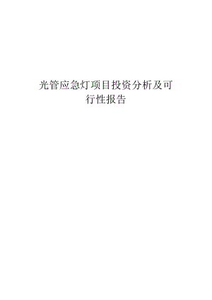 光管应急灯项目投资分析及可行性报告.docx