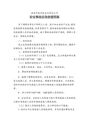 电站安全应急预案.docx