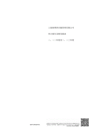 上海海博供应链管理有限公司二○二二年度至二○二三年度财务报表.docx