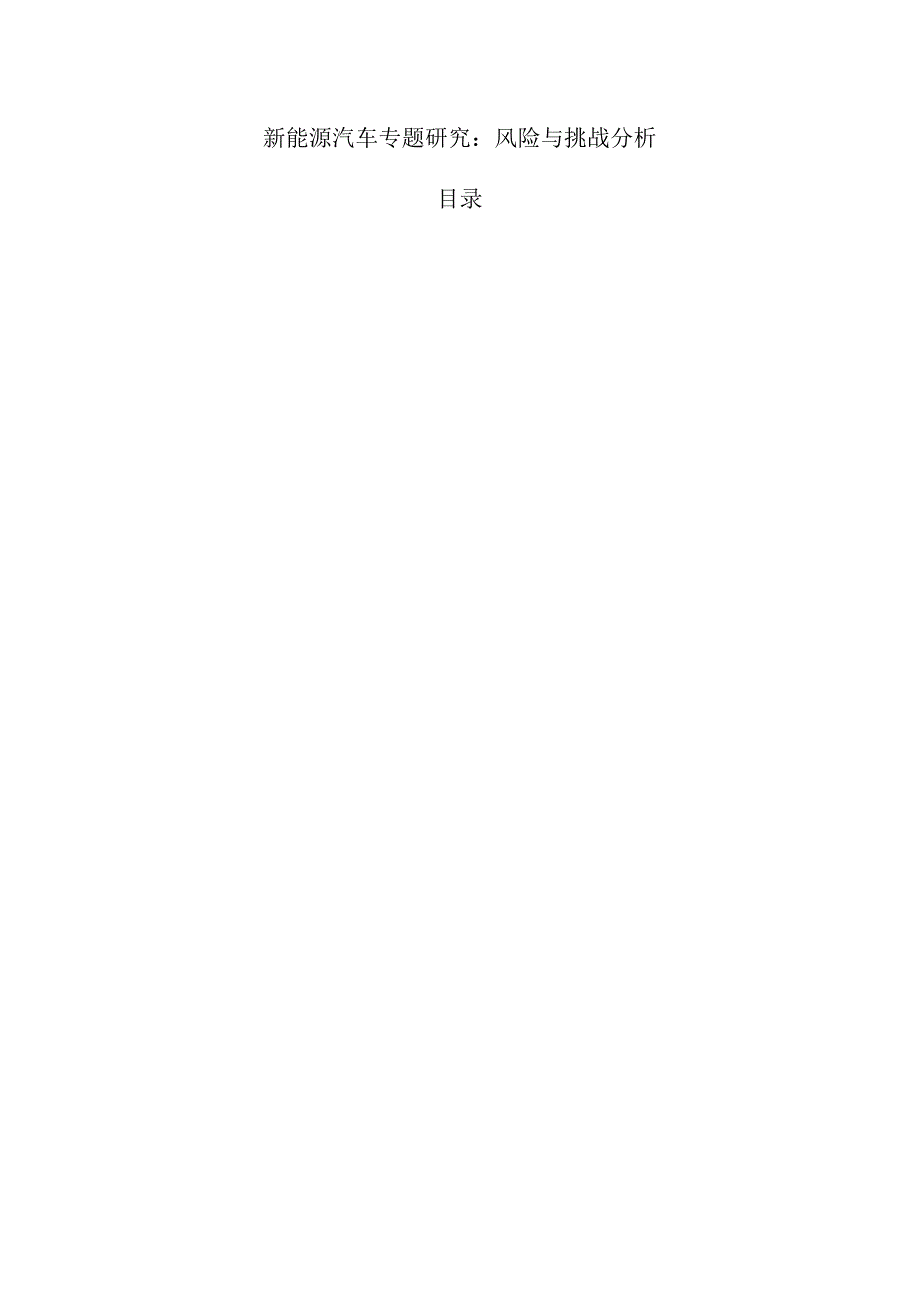 新能源汽车专题研究:风险与挑战分析.docx_第1页