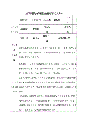 二级甲等医院麻醉科副主任护师岗位说明书.docx