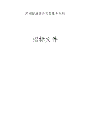 河湖健康评价服务项目招标文件.docx