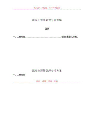 混凝土裂缝处理专项方案.docx