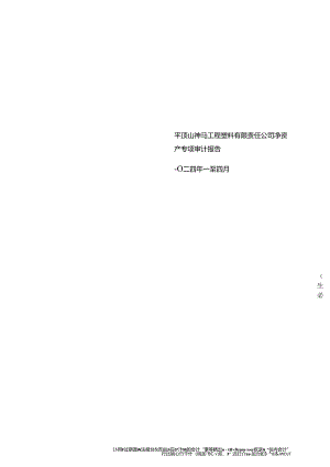 平顶山神马工程塑料有限责任公司净资产专项审计报告2024年1-4月.docx