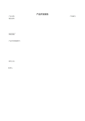 产品开发报告范本.docx