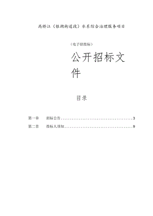 高桥江（银湖街道段）水系综合治理服务项目招标文件.docx