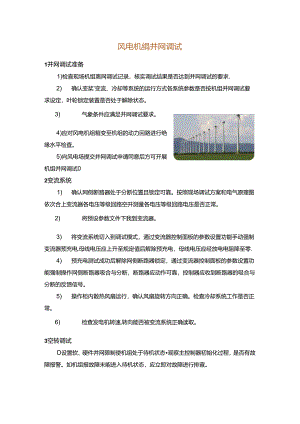 风电机组并网调试.docx
