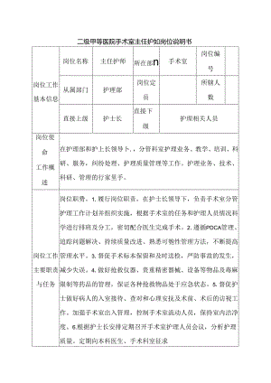 二级甲等医院手术室主任护师岗位说明书.docx