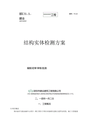 结构实体检测方案.docx