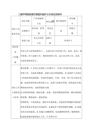 二级甲等医院理疗康复科副护士长岗位说明书.docx