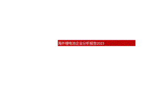 2023海外锂电池企业分析报告.docx