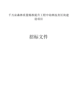 千万亩森林质量精准提升工程中幼林抚育区块建设项目招标文件.docx