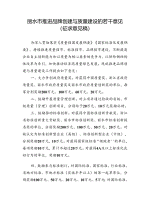 丽水市推进品牌创建与质量建设的若干意见（征求意见稿）.docx