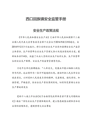 西口镇安全监管手册.docx