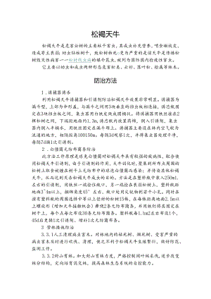 松褐天牛.docx