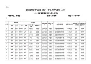 监管责任汇总表.docx